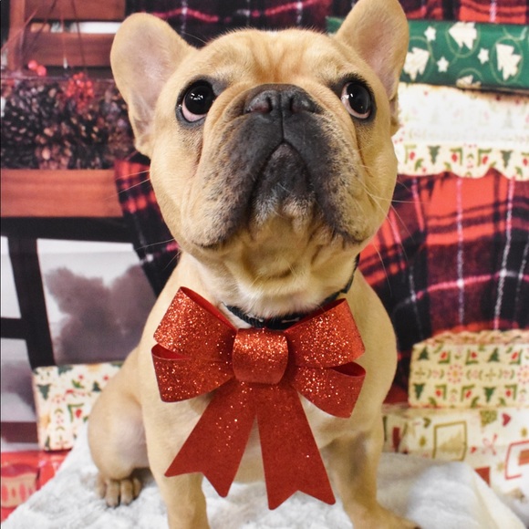 Meet your Posher, Sarah - Picture 1 of 1